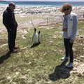 IMG 4625