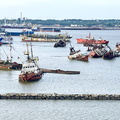 IMG E6989