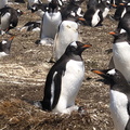 IMG 4658