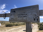 IMG 4559