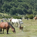DSC 0576