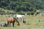 DSC 0576