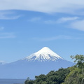 IMG 4686 1