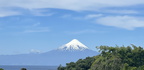 IMG 4686 1
