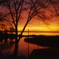 another-sunrise-on-hoskins-creek-and-the-rappahannock-river-makes-me-run-for-my-camera 6447720995 o