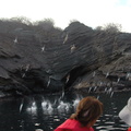 diving-attack-and-anchovy-feeding-frenzy-by-the-blue-boobies-into-tagus-cove-espanola-island-galapagos 6436649923 o