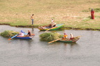 gathering-crops-on-the-river-nile-near-qena-egypt 6436204957 o