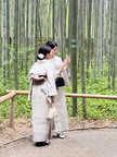 japan-511-7147