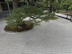 japan-512-7269