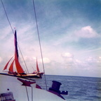 1975-06-ellicat-thames-estuary-1