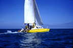 1976-08-ellicat2