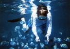 1988-07-bvi-ben