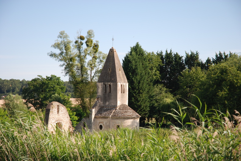 burgundy-2011-0548.JPG