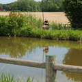 burgundy-2011-0576
