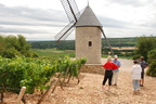 burgundy-2011-0721