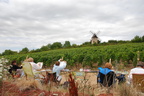 burgundy-2011-0738