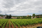 burgundy-2011-0740