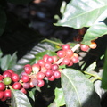 e000 9798