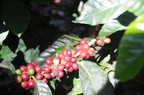 e000 9798
