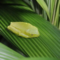 f000 9937