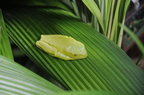 f000 9937
