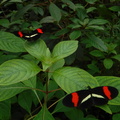 fDSCF0773