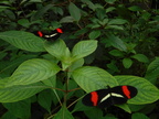 fDSCF0773