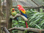 fP1260057