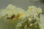 PB070010