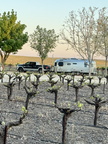 2024-04-paso-robles-4-sisters-1848