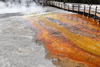 yellowstone-0293