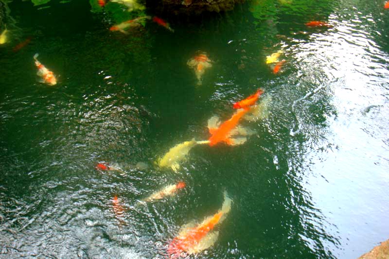 mar13-bangkok-jt-house-3278