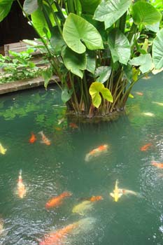 mar13-bangkok-jt-house-3279