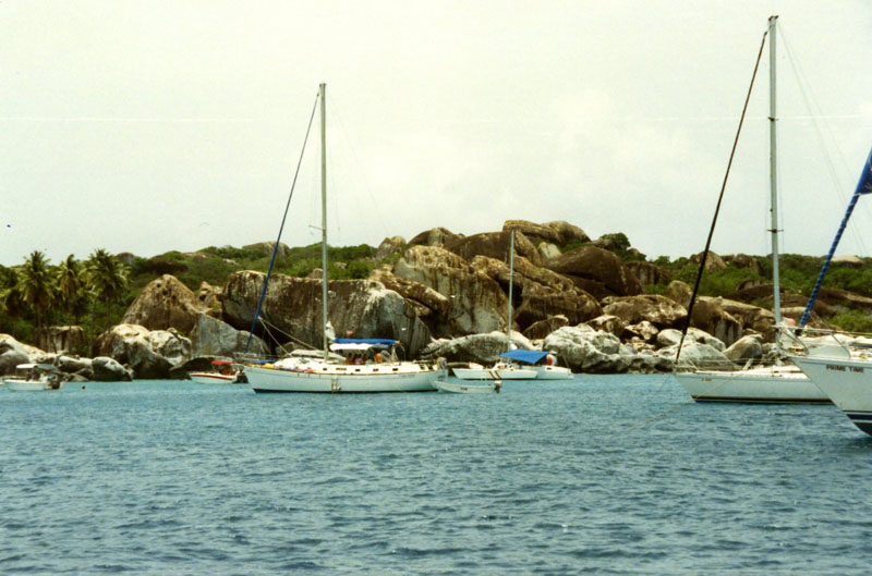 bvi-5019