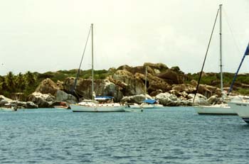 bvi-5019